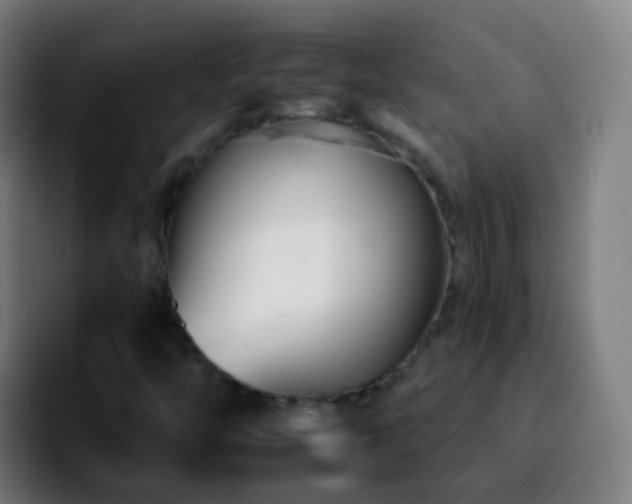 X0000092261446200709211111