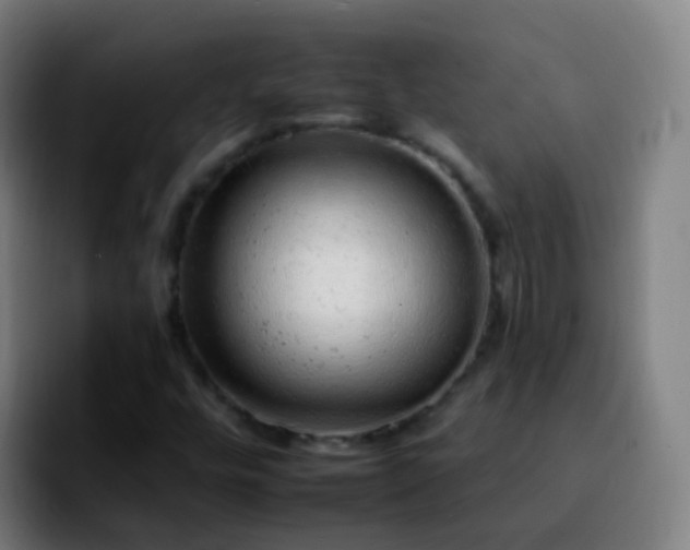 X0000092261448200709211111