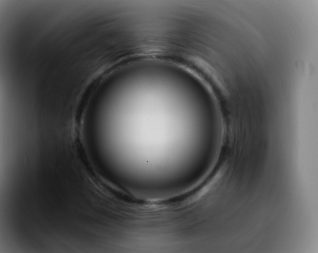 X0000092261449200709211111