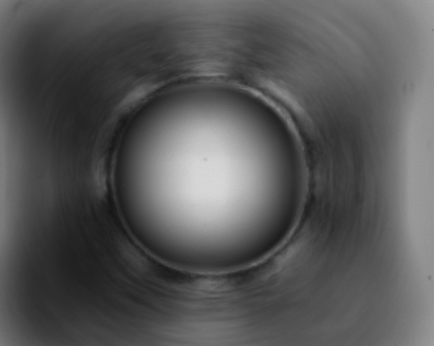 X0000092261451200709211111