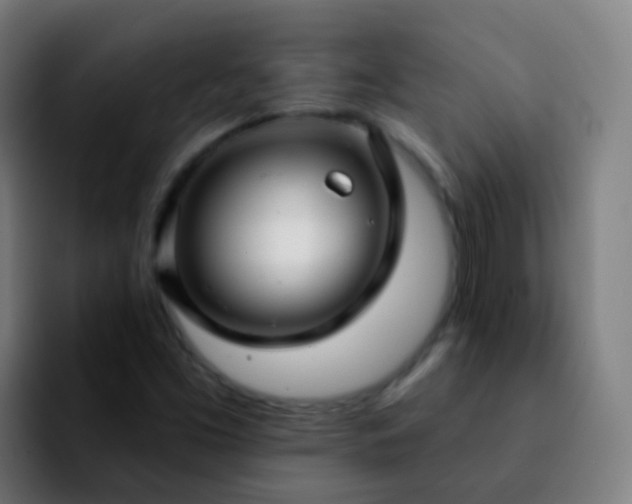 X0000092261453200709211111