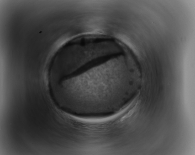 X0000092261455200709211110