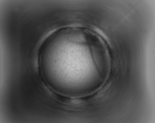 X0000092261456200709211110