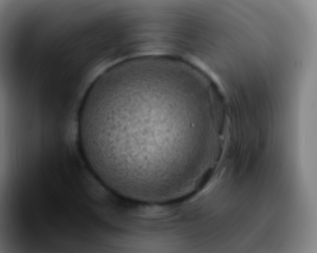 X0000092261459200709211110