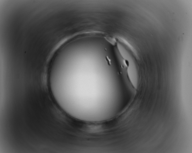 X0000092261460200709211110