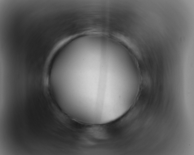 X0000092261462200709211110