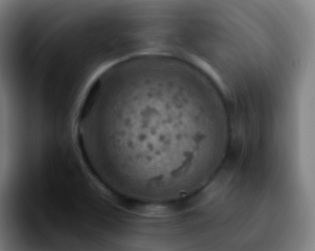 X0000092261463200709211110