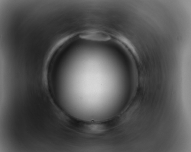 X0000092261464200709211110