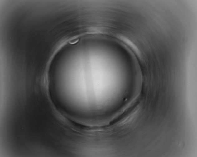 X0000092261467200709211110