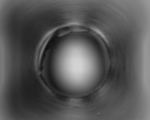 X0000092261469200709211110