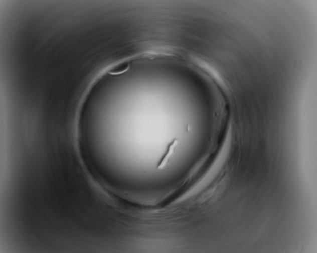 X0000092261471200709211110