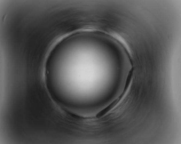 X0000092261472200709211110