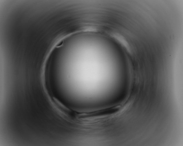 X0000092261475200709211110