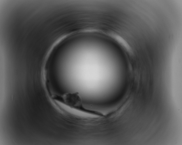 X0000092261476200709211110