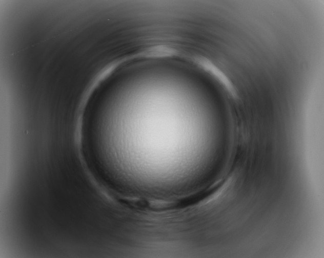 X0000092261477200709211110