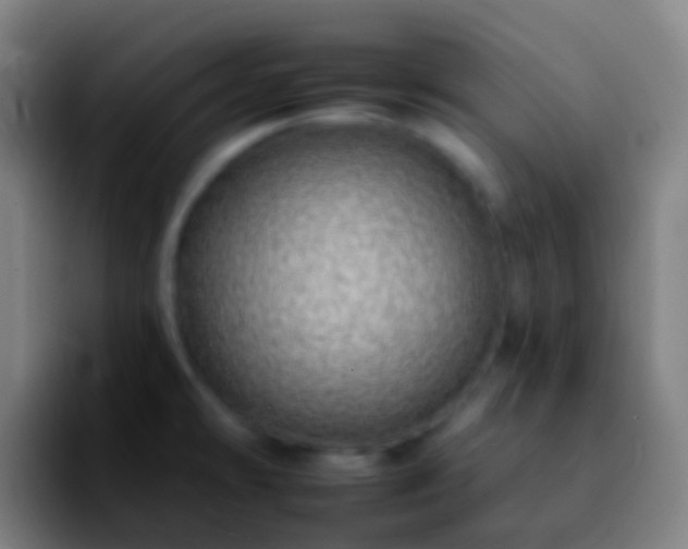 X0000092261478200709211110