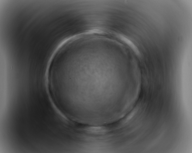 X0000092261479200709211110
