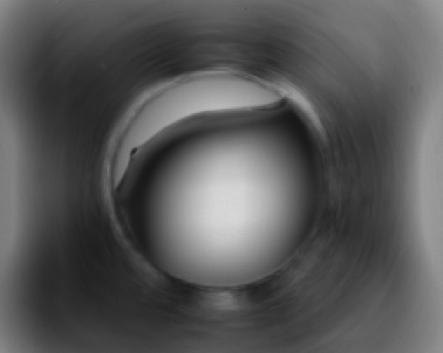 X0000092261480200709211110
