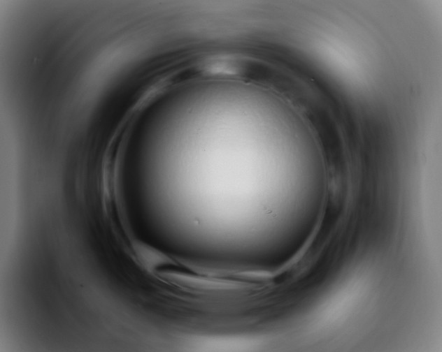 X0000092261487200709211110