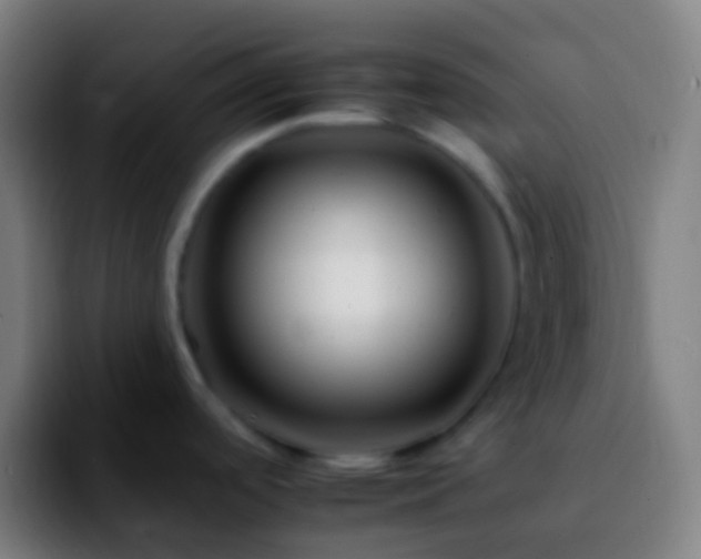 X0000092261488200709211110
