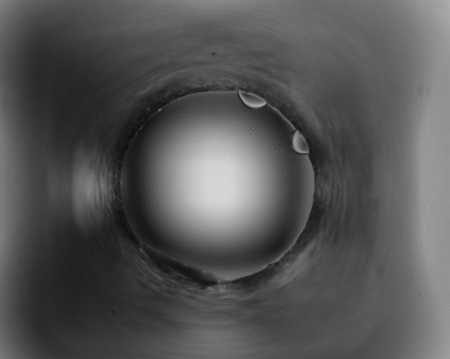 X0000092261490200709211110