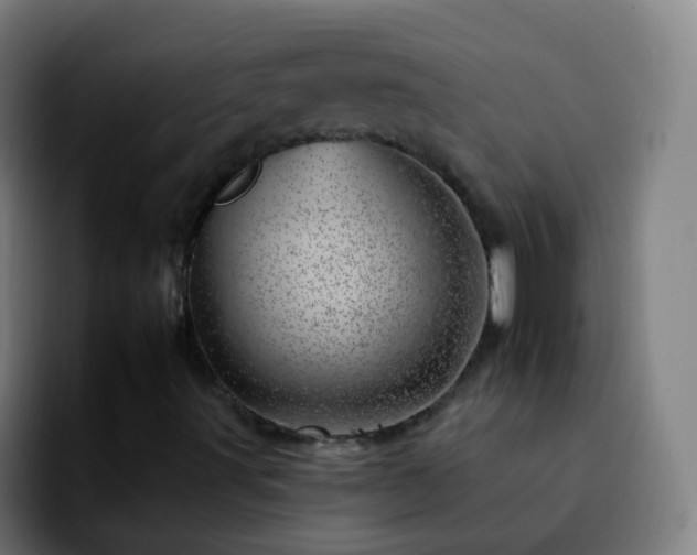 X0000092261491200709211110