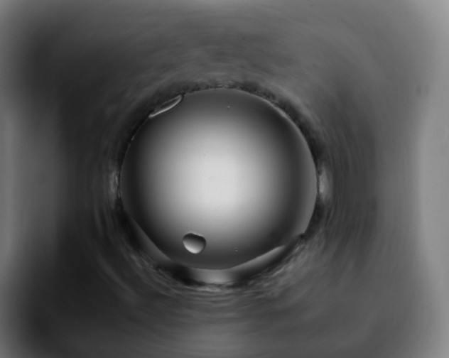 X0000092261492200709211110