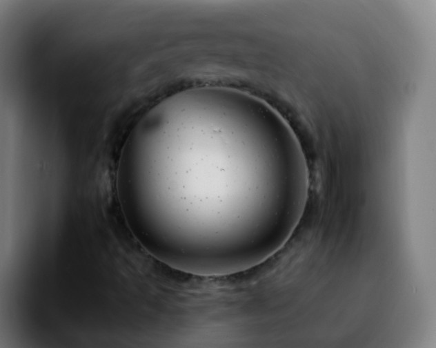 X0000092261493200709211110