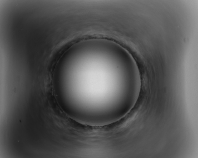 X0000092261494200709211110