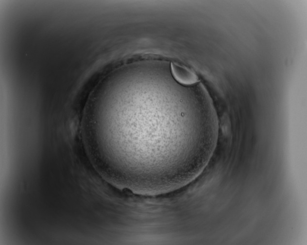 X0000092261495200709211110