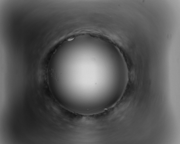 X0000092261496200709211110