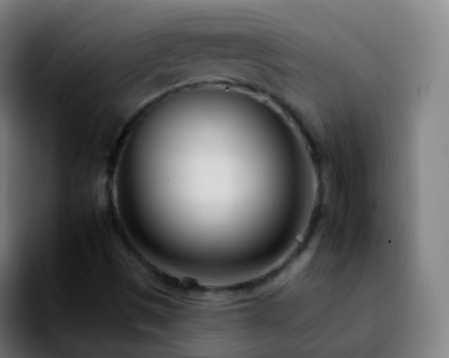 X0000092261497200709211110