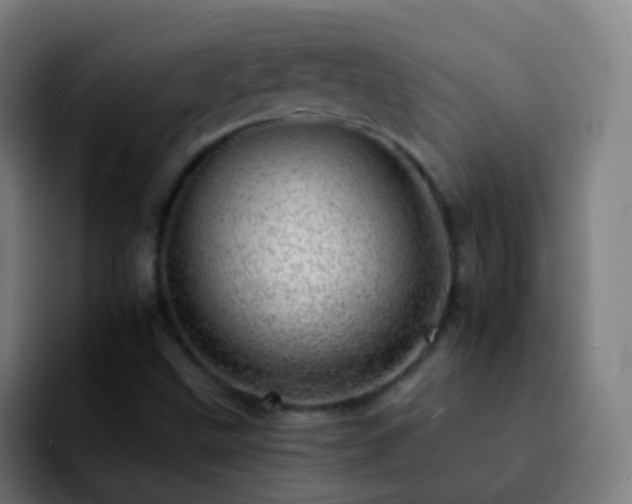X0000092261499200709211110