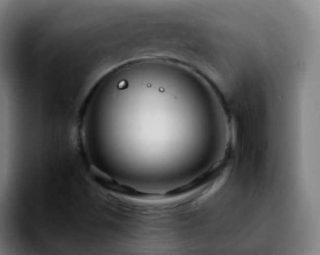 X0000092261501200709211110