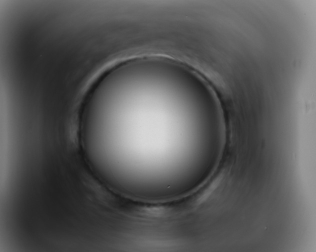 X0000092261502200709211110
