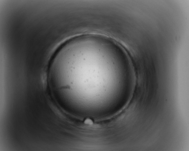 X0000092261503200709211110