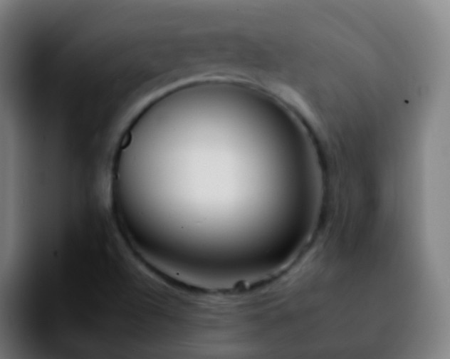 X0000092261504200709211110