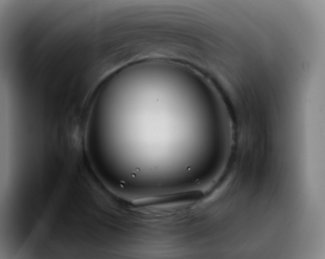 X0000092261505200709211110