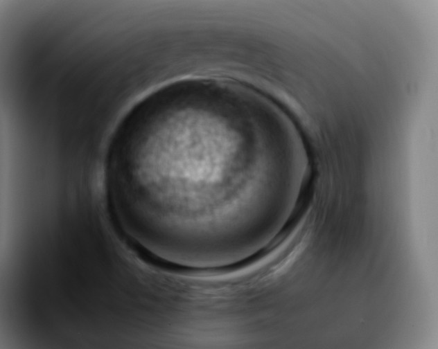 X0000092261506200709211110