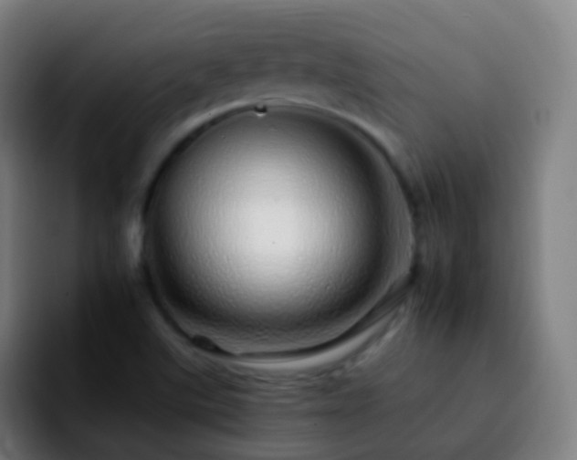 X0000092261507200709211110