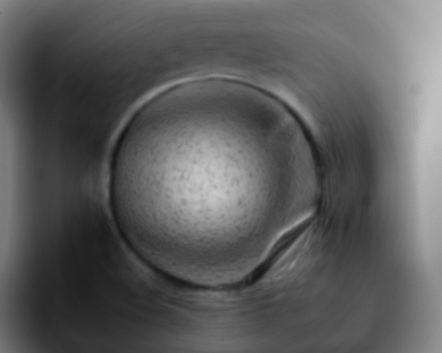 X0000092261508200709211110