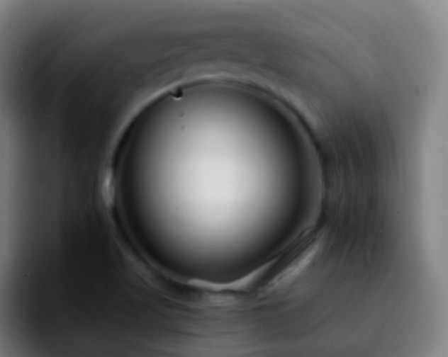 X0000092261509200709211110