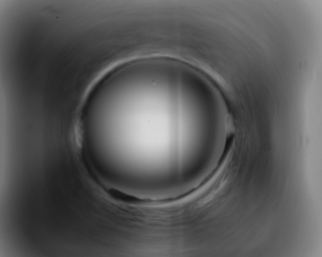 X0000092261510200709211110