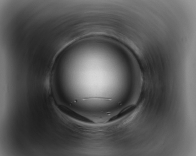 X0000092261513200709211110