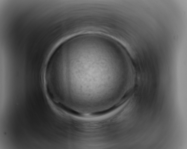X0000092261515200709211110