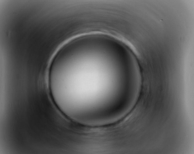 X0000092261516200709211110