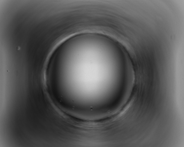 X0000092261517200709211110
