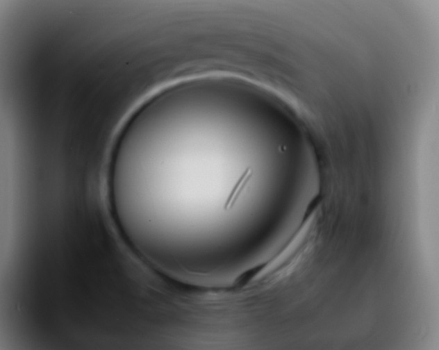 X0000092261518200709211110