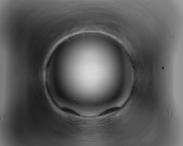X0000092261519200709211110