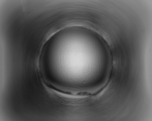 X0000092261521200709211110